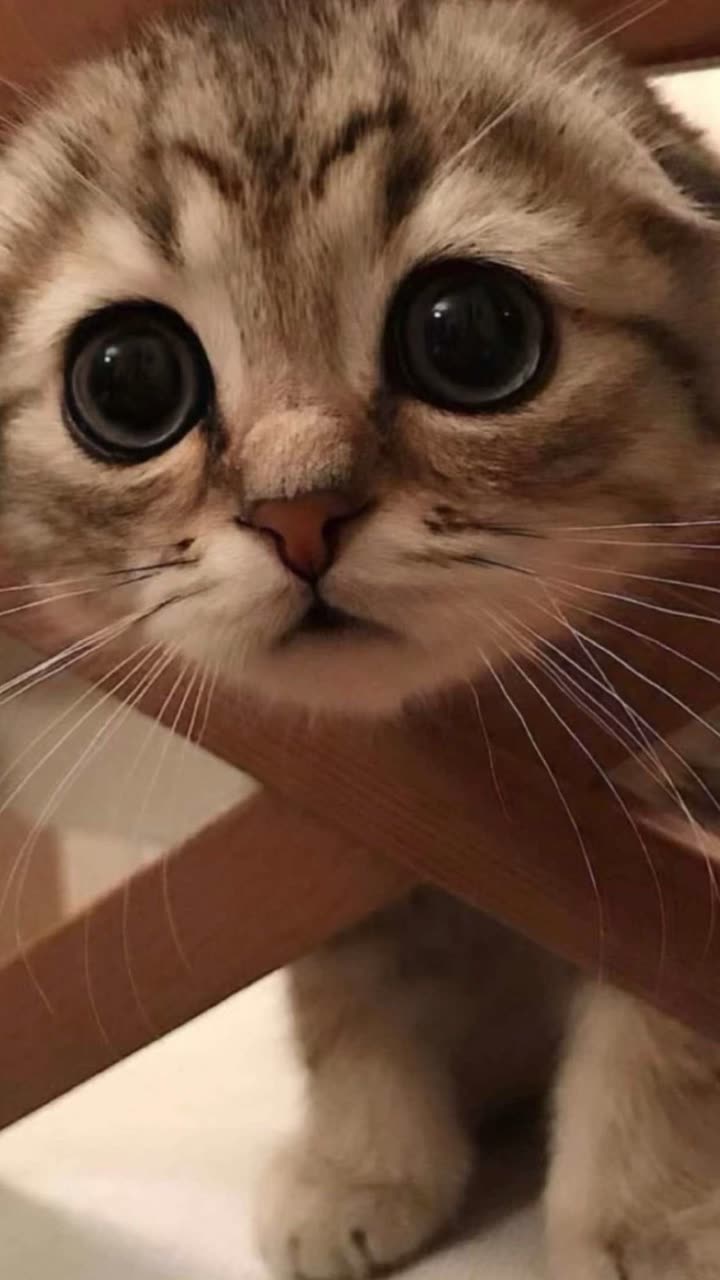 قصة سناب شات للحساب ro_9aa رقم 258