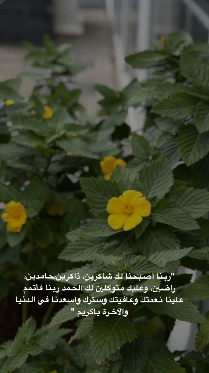 محتوى سناب شات لـ عفرا السويدي 🦋