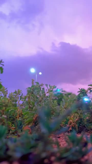 Preview for a Spotlight video that uses the Walk Lens