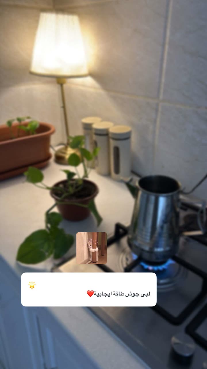 محتوى سناب شات لـ Şħόùq Al-Saiari ✨🧸🌿