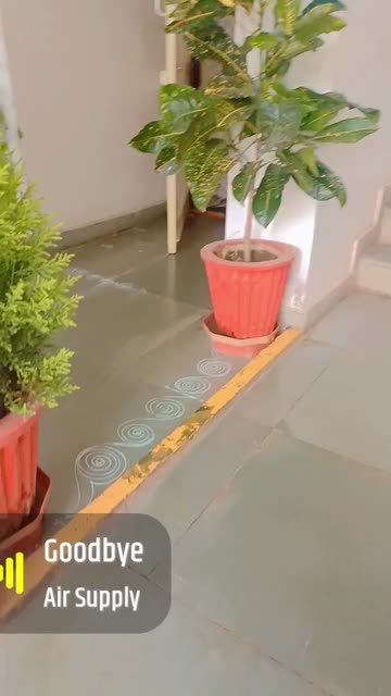 Preview for a Spotlight video that uses the PLEASENT A1 Lens