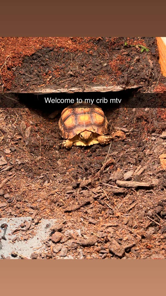 unnaturallycam