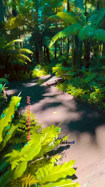 Preview for a Spotlight video that uses the Outdoors Lens