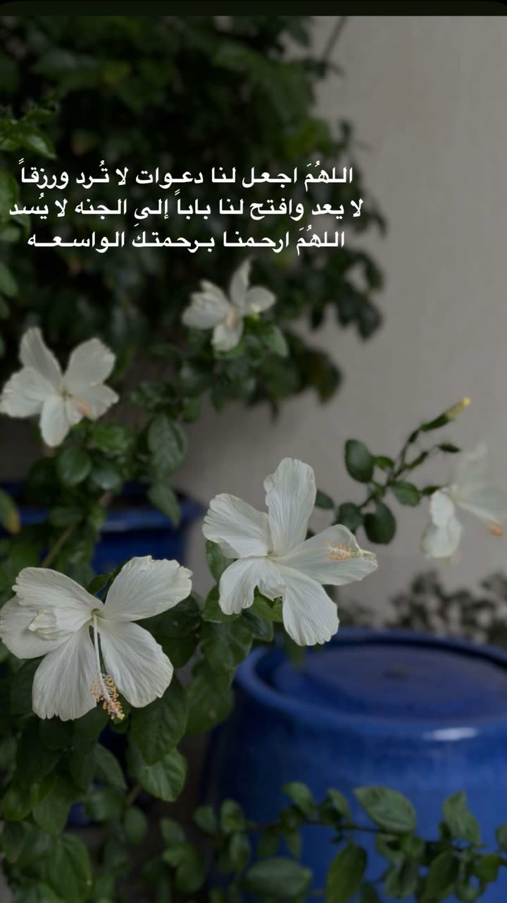 محتوى سناب شات لـ عفرا السويدي 🦋