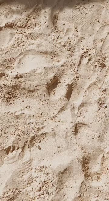 Preview for a Spotlight video that uses the beachy Lens