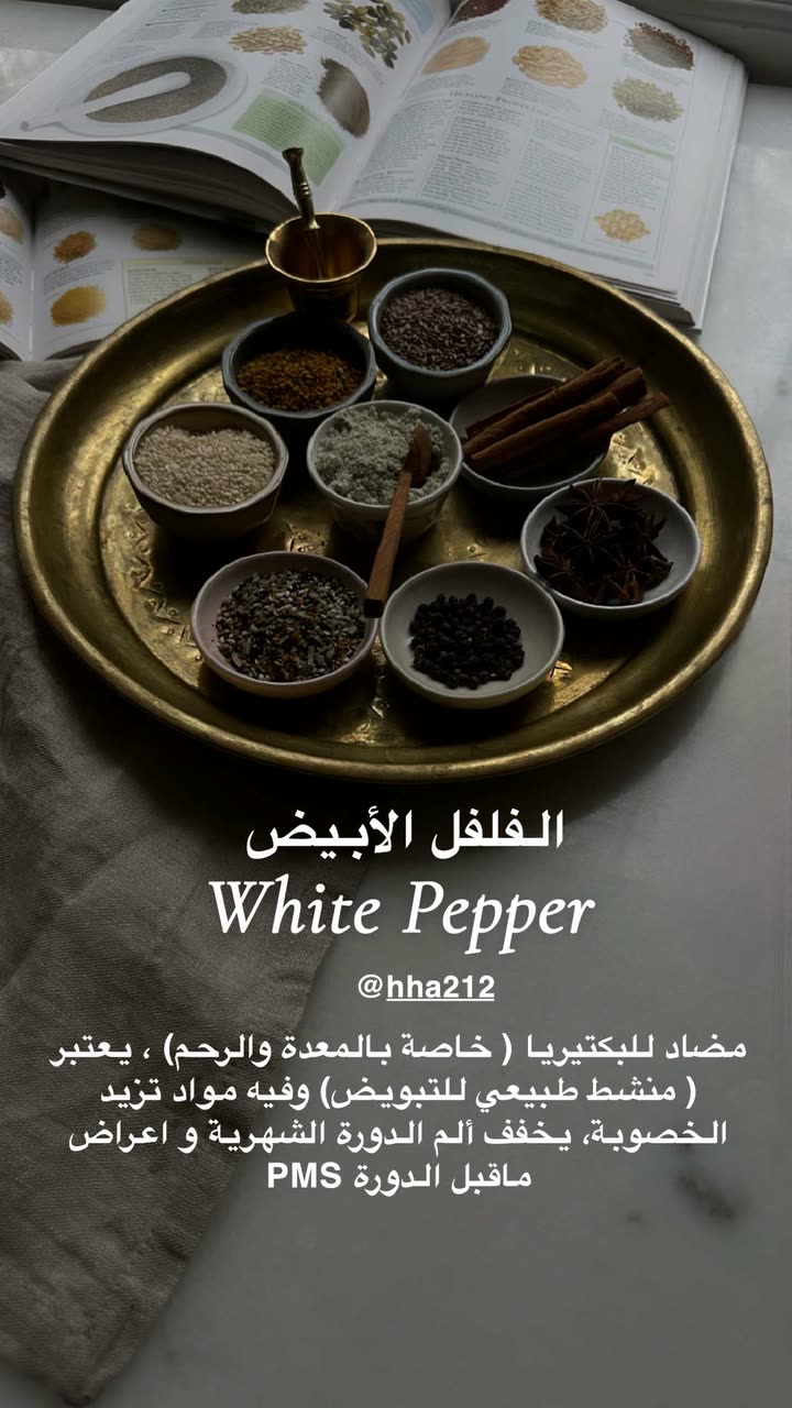 محتوى سناب شات لـ د. هند عنايه وأفكار 🎯