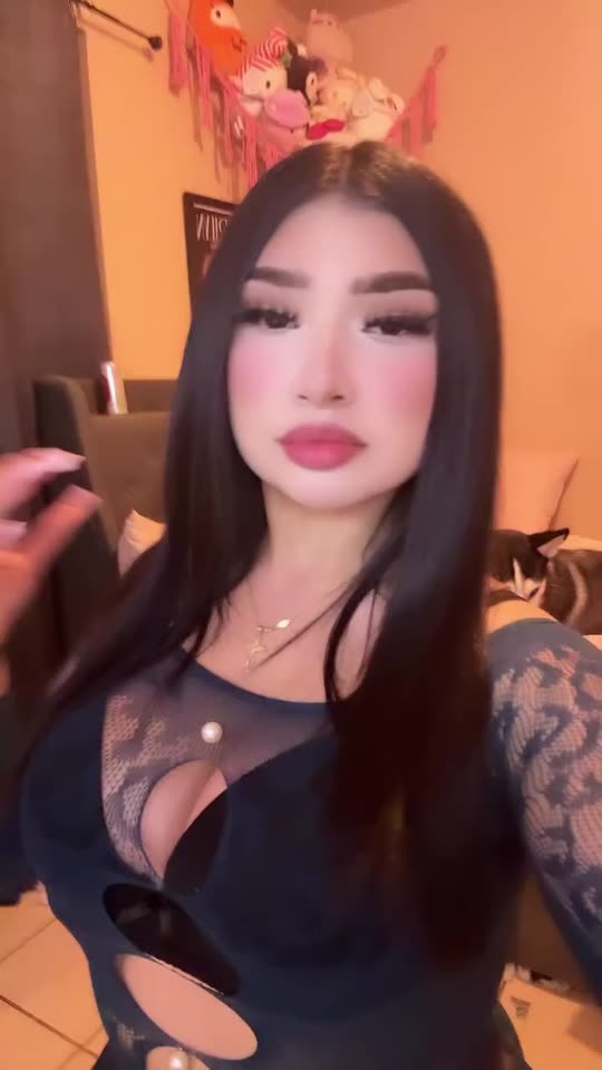 azm.bella