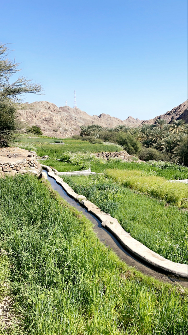 محتوى سناب شات لـ 𝕄𝕆ℍ𝔸𝕄𝕄𝔼𝔻 🇦🇪