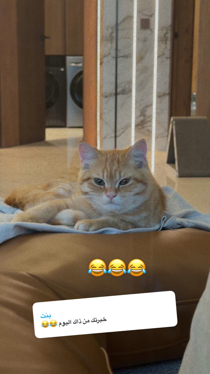 محتوى سناب شات لـ SONYA🐆🦋💎