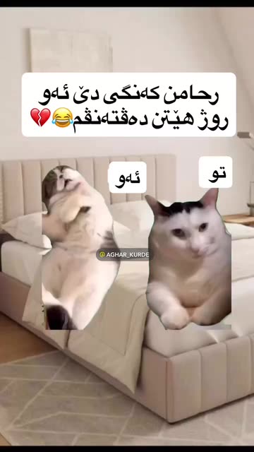 آغآرٍ ♥️ 𝐀𝐆𝐇𝐀𝐑
