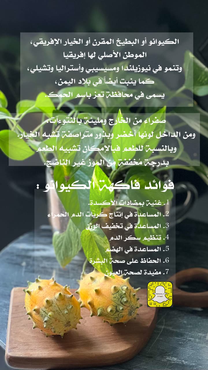 محتوى سناب شات لـ مها الصيخان 🍃☕️🎨