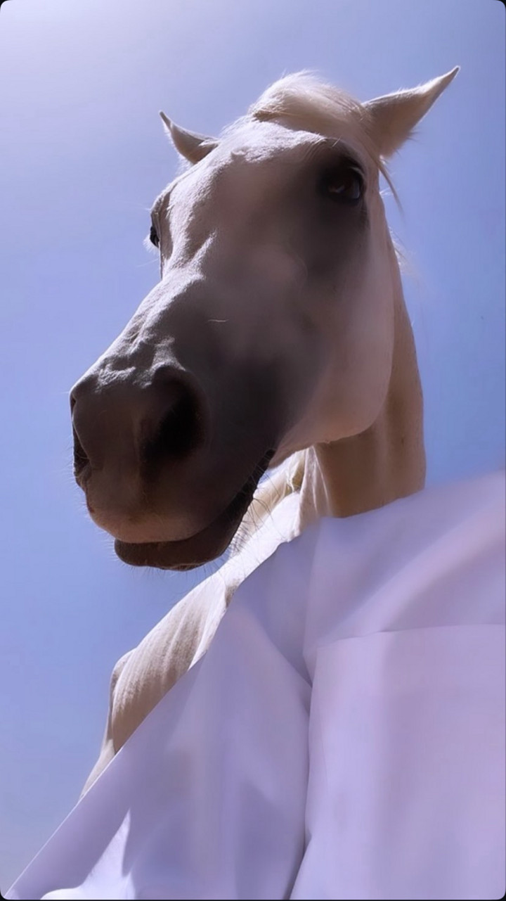 محتوى سناب شات لـ ‏𝙈𝙕𝘼
