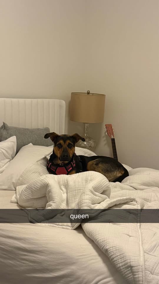 jaymebuddy