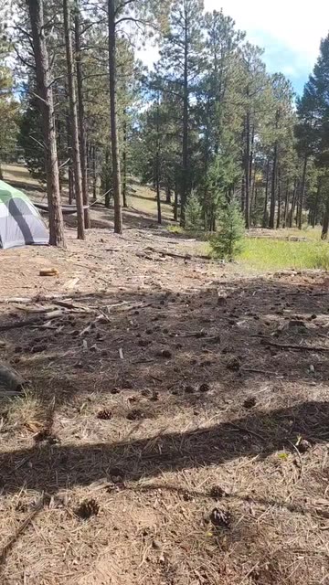 Preview for a Spotlight video that uses the Daft Punk Helmets Lens