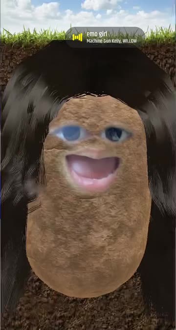Preview for a Spotlight video that uses the Potato Black hair Lens