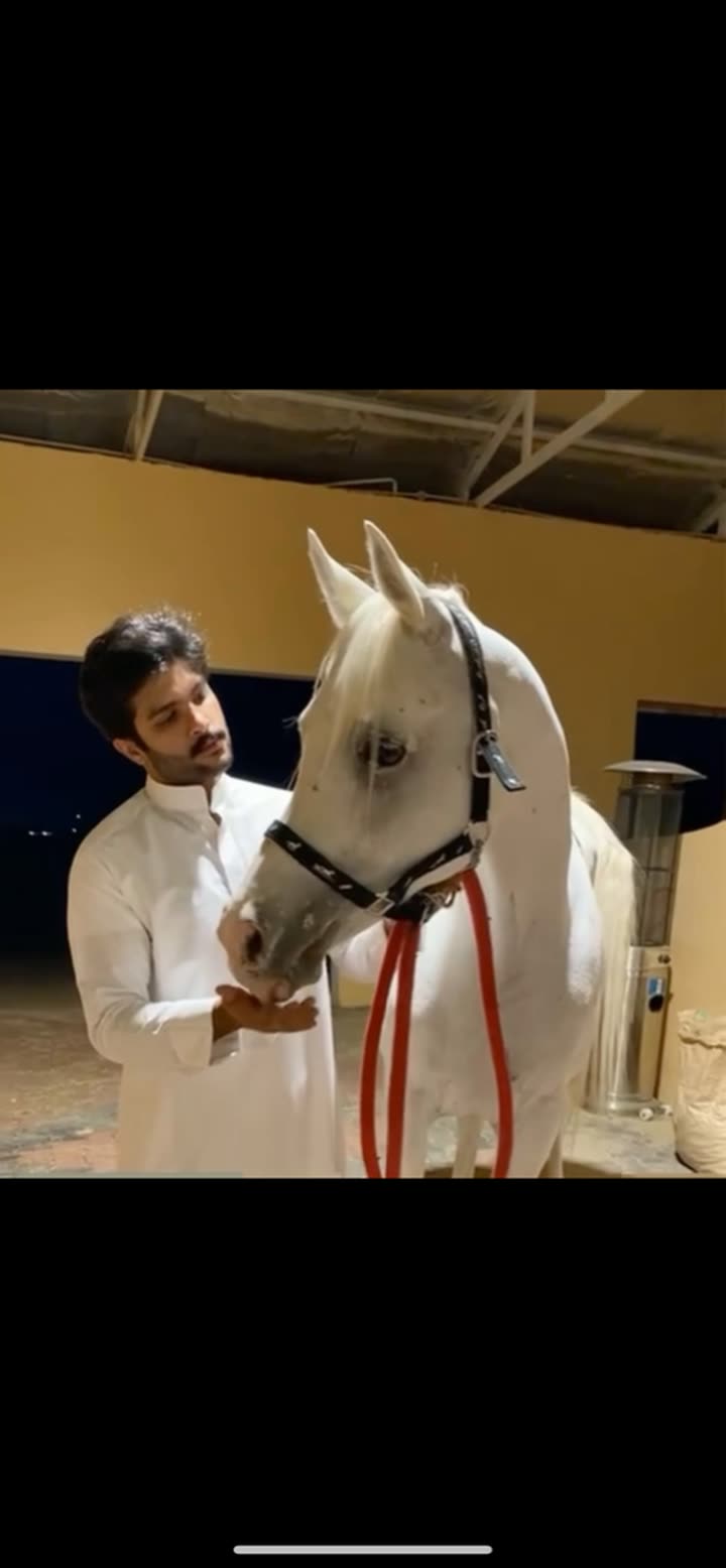 محتوى سناب شات لـ محمد المقاحطه🐎⚖️