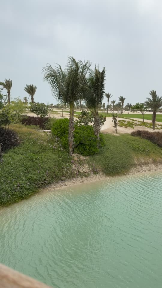 ffalsaud1