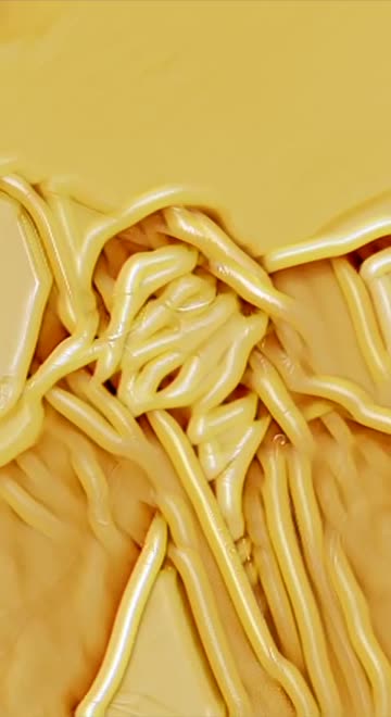 Preview for a Spotlight video that uses the PASTA Lens