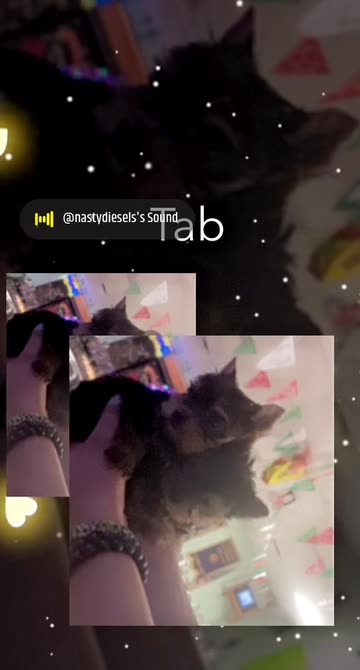 Preview for a Spotlight video that uses the Camera Roll Frames Lens
