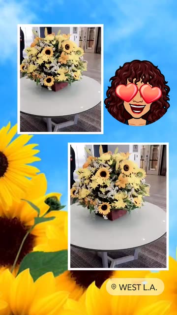 Preview for a Spotlight video that uses the Sunflowers Lens