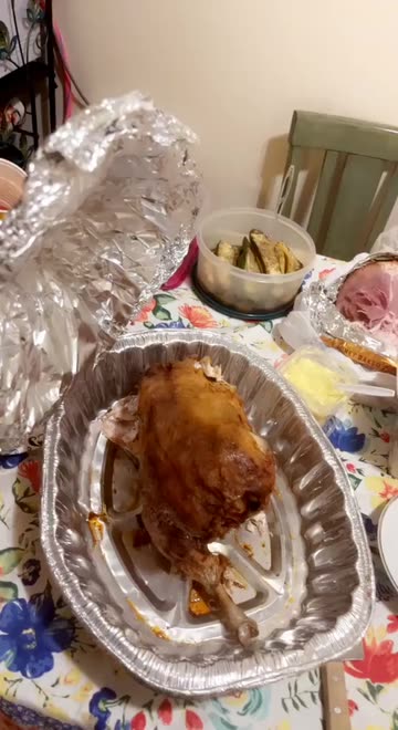 Preview for a Spotlight video that uses the Thanksgiving Turkey  Lens