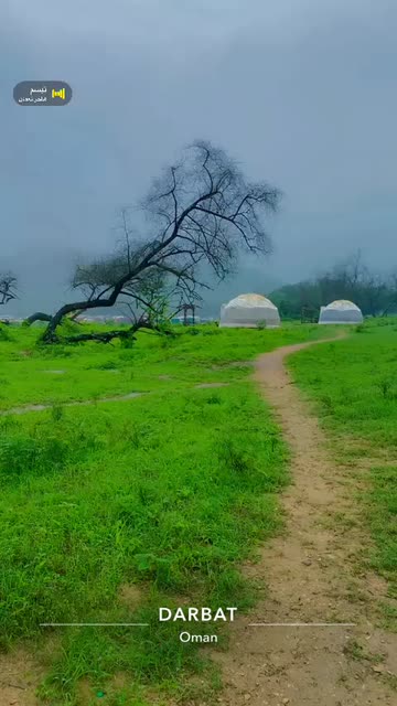 Preview for a Spotlight video that uses the green trees Lens