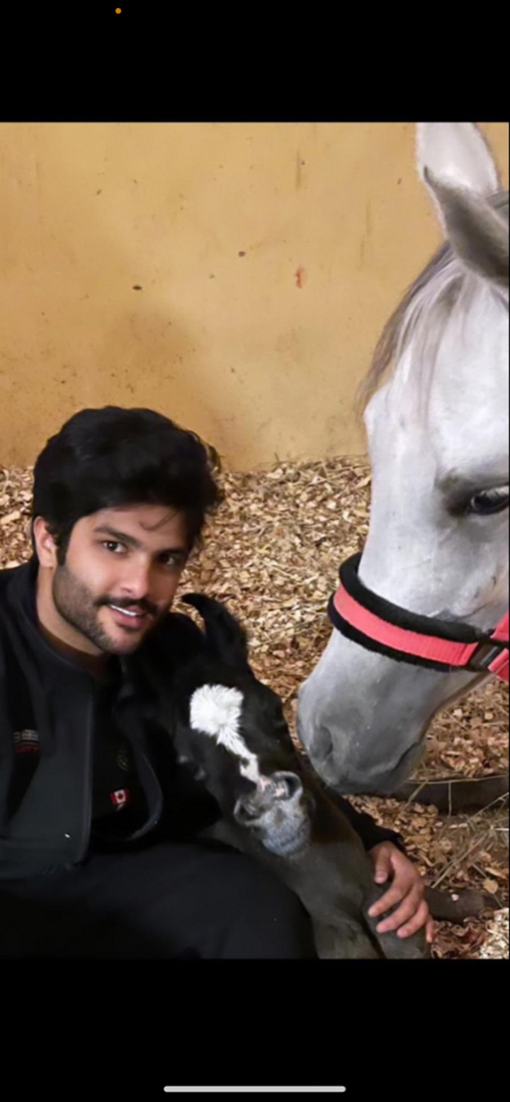 محتوى سناب شات لـ محمد المقاحطه🐎⚖️