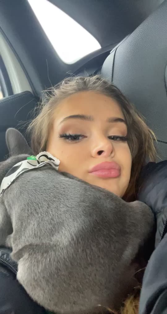 brightonrose