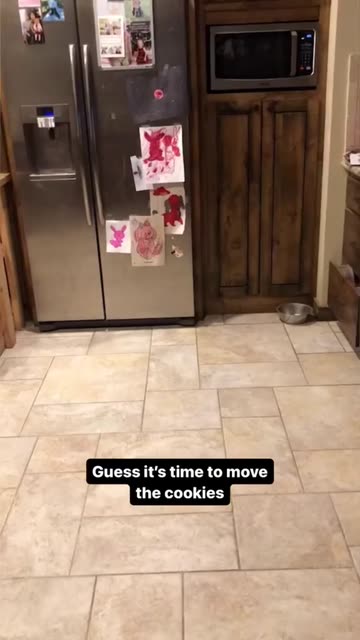 Spotlight content by a Snapchat user