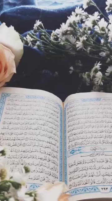 Preview for a Spotlight video that uses the Quran Streak Lens