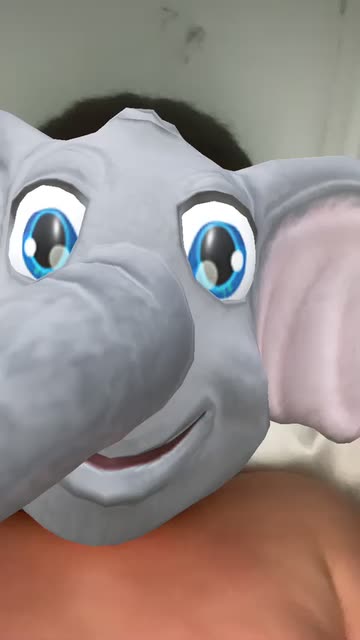 Preview for a Spotlight video that uses the Elephant Head Lens