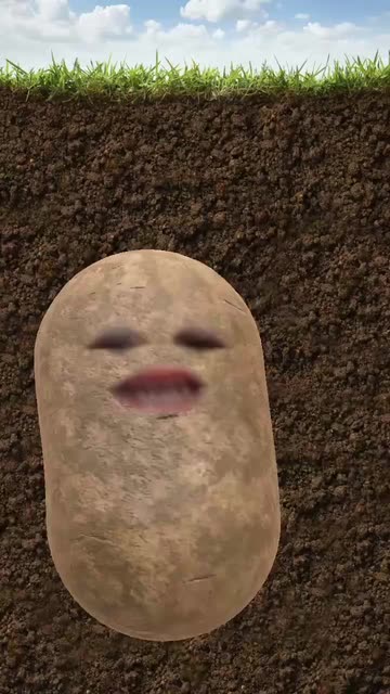 Preview for a Spotlight video that uses the Potato Lens