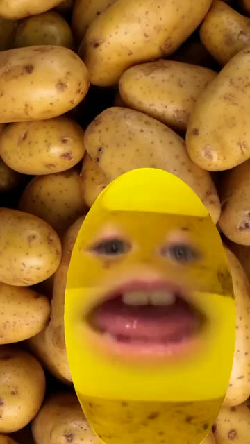 Preview for a Spotlight video that uses the Potatoes Hero Lens