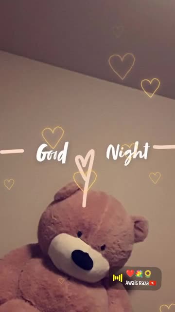 Preview for a Spotlight video that uses the Good night 1 Lens