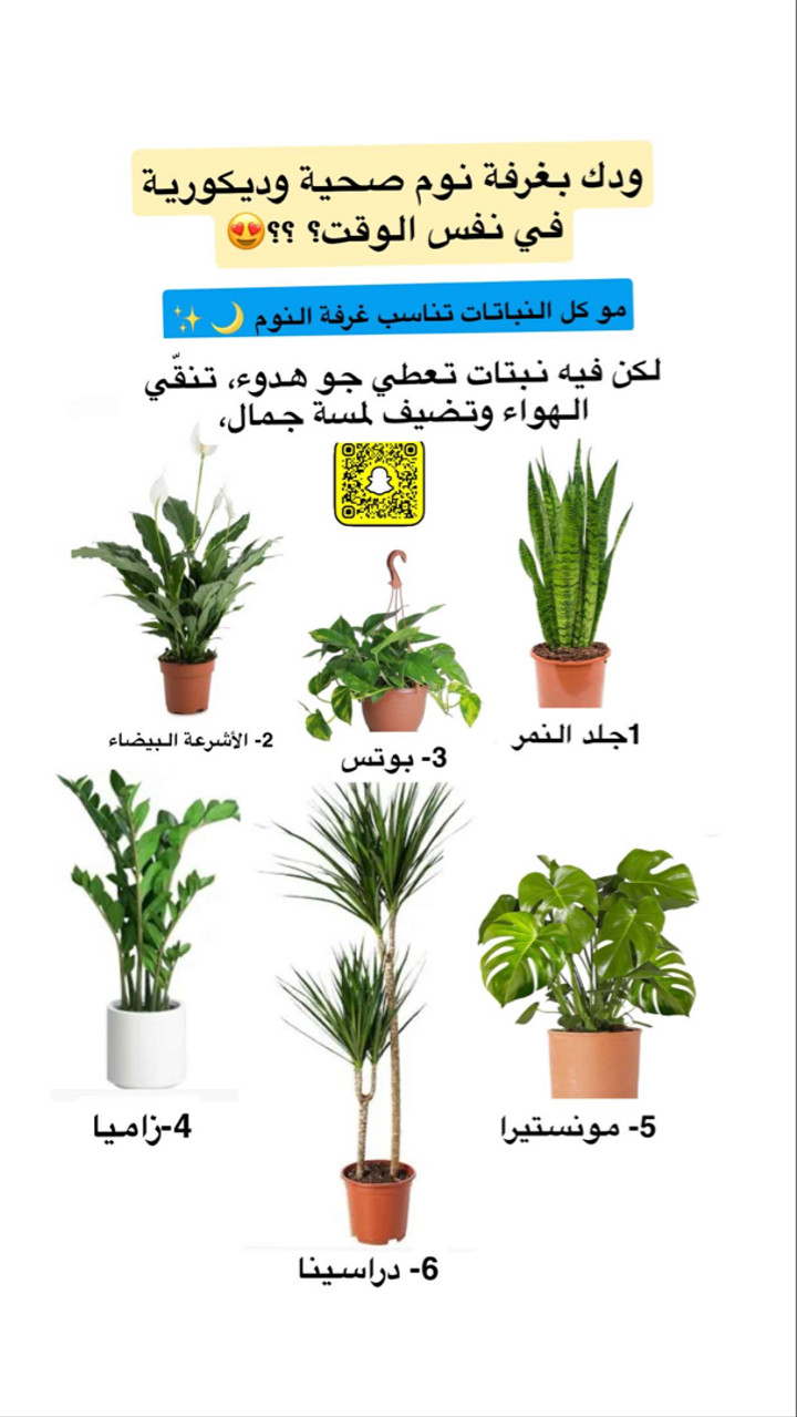 محتوى سناب شات لـ مها الصيخان 🍃☕️🎨
