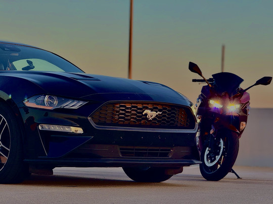 stingray05