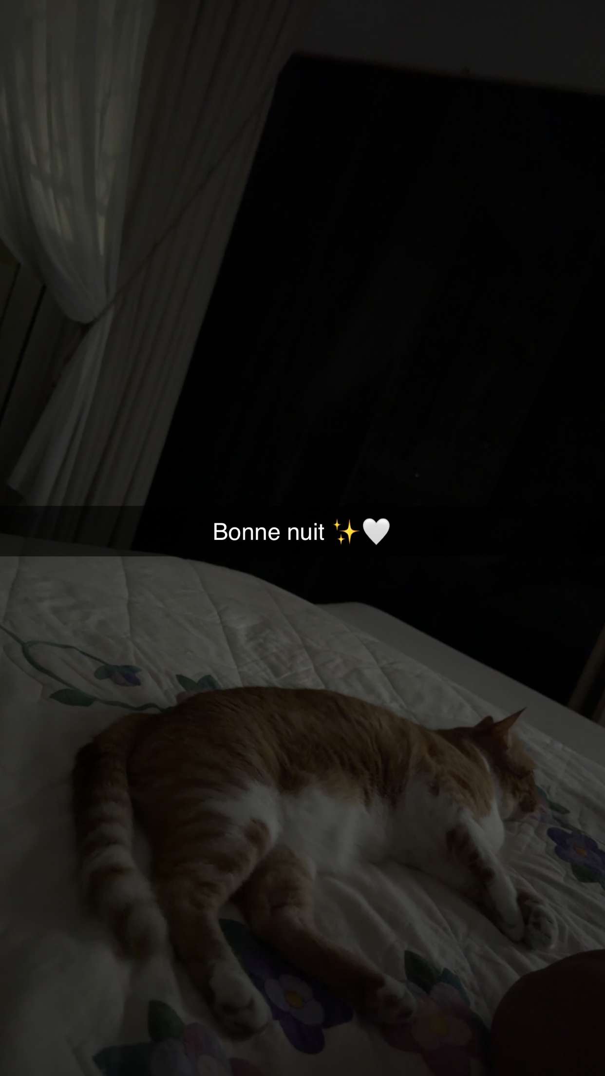 محتوى سناب شات لـ Bouchra Ben Ayache