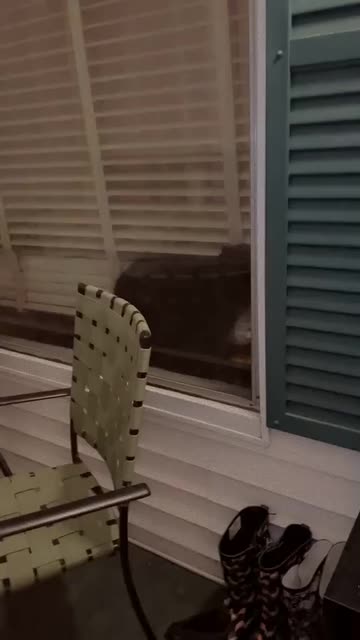 Preview for a Spotlight video that uses the Cutey Lens