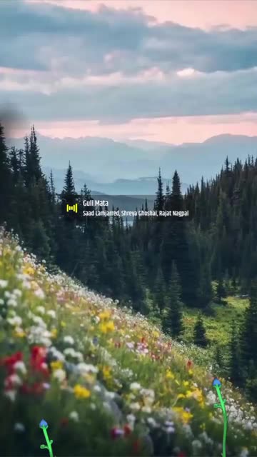 Preview for a Spotlight video that uses the Scenery Lens