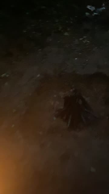 CornFed