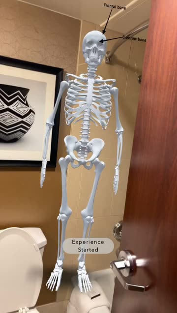 Preview for a Spotlight video that uses the Human Anatomy Lens