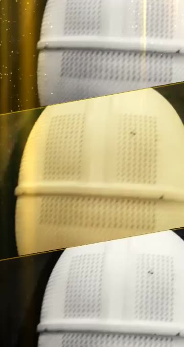 Preview for a Spotlight video that uses the Golden Collage Lens