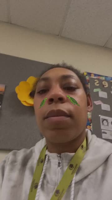 Preview for a Spotlight video that uses the turtle lovers Lens