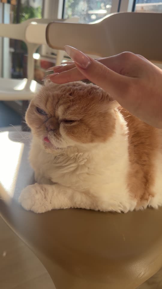 hellocathyz
