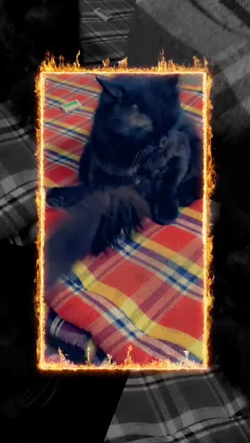 Preview for a Spotlight video that uses the Burning Frame Lens
