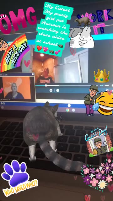 Preview for a Spotlight video that uses the Raccoon Lens