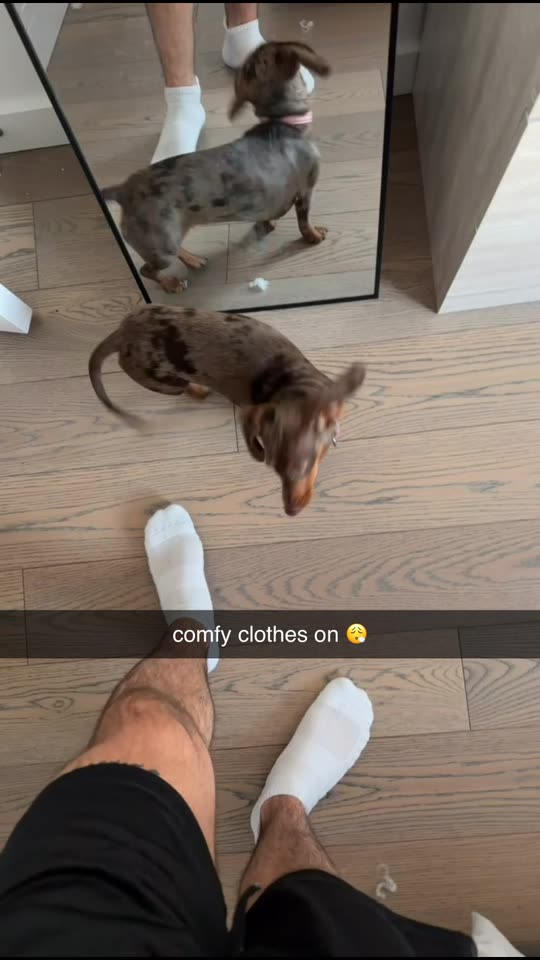mattconvard