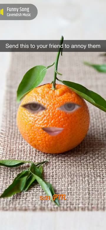 Preview for a Spotlight video that uses the Annoying Orange Lens