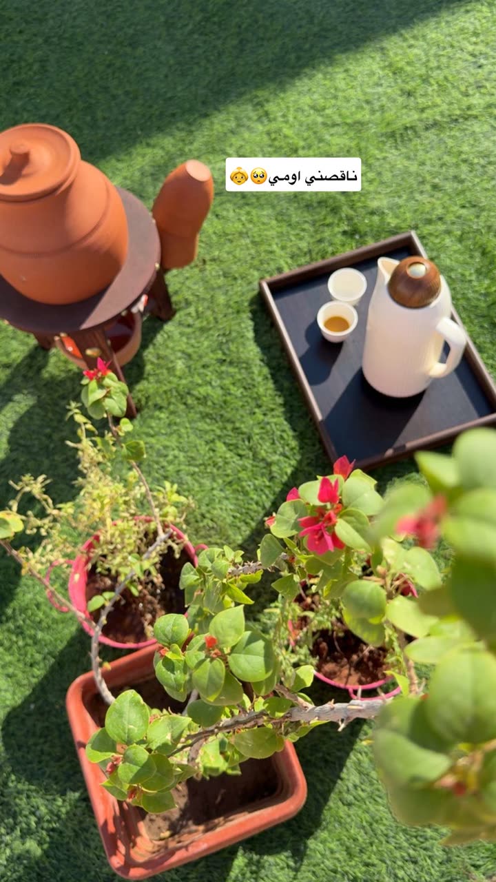 محتوى سناب شات لـ Şħόùq Al-Saiari ✨🧸🌿