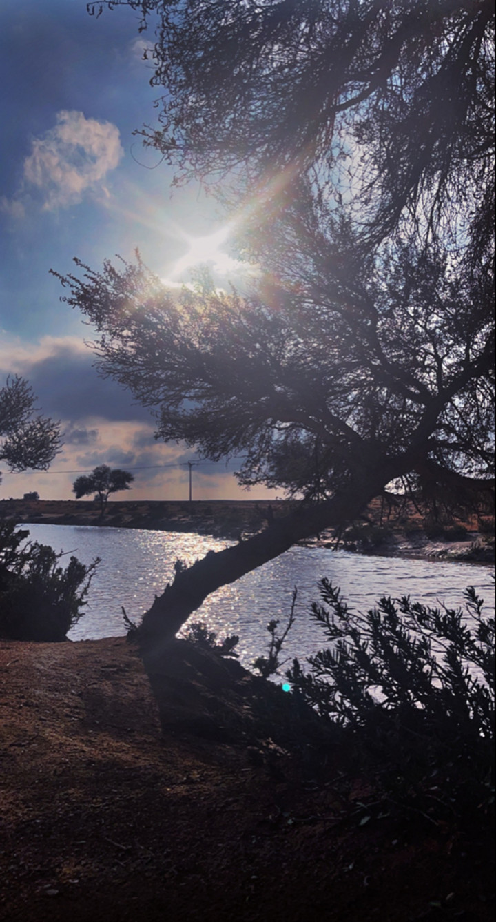 محتوى سناب شات لـ Harmony Of Life